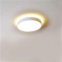 d450 36w Dual direction illumination Round LED Light Fixture
