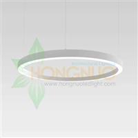 ring 450 led light fixture Suspended ring shaped feature lighting