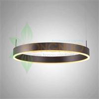 800 ring circular Suspended architectural LED circular luminaire